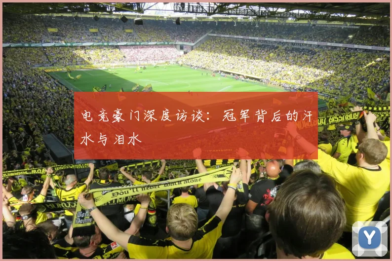 电竞豪门深度访谈:冠军背后的汗水与泪水