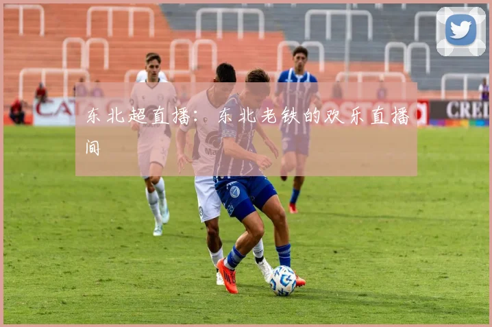 东北超直播：东北老铁的欢乐直播间