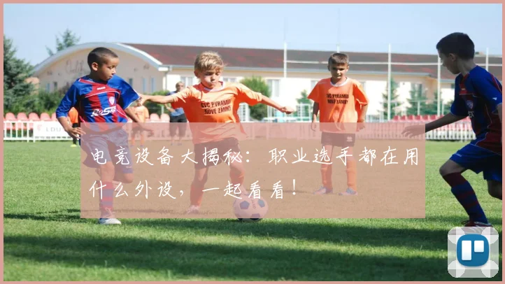 电竞设备大揭秘:职业选手都在用什么外设,一起看看!