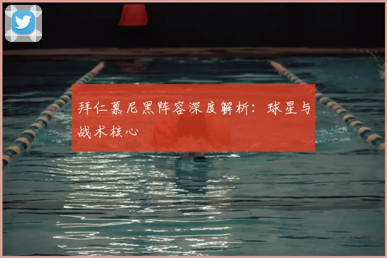 拜仁慕尼黑阵容深度解析：球星与战术核心