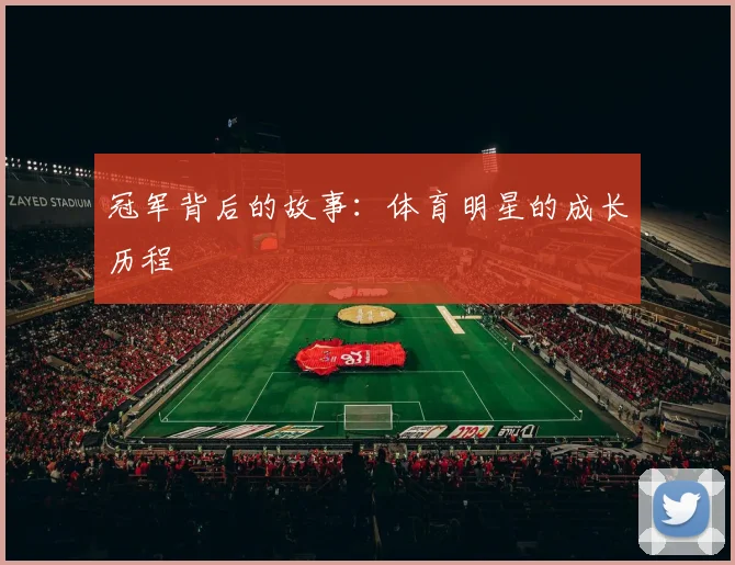 冠军背后的故事：体育明星的成长历程