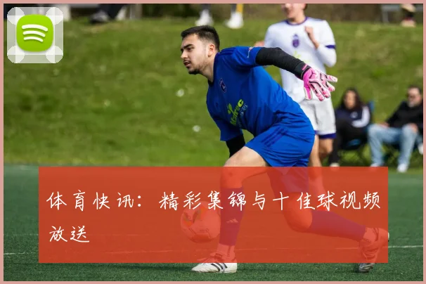 体育快讯：精彩集锦与十佳球视频放送