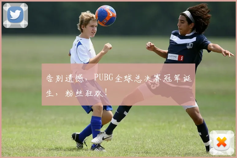 告别遗憾,PUBG全球总决赛冠军诞生,粉丝狂欢!