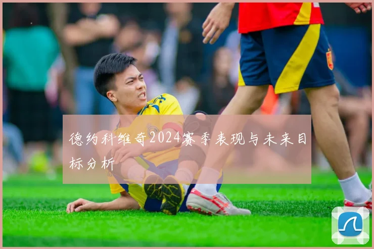 德约科维奇2024赛季表现与未来目标分析