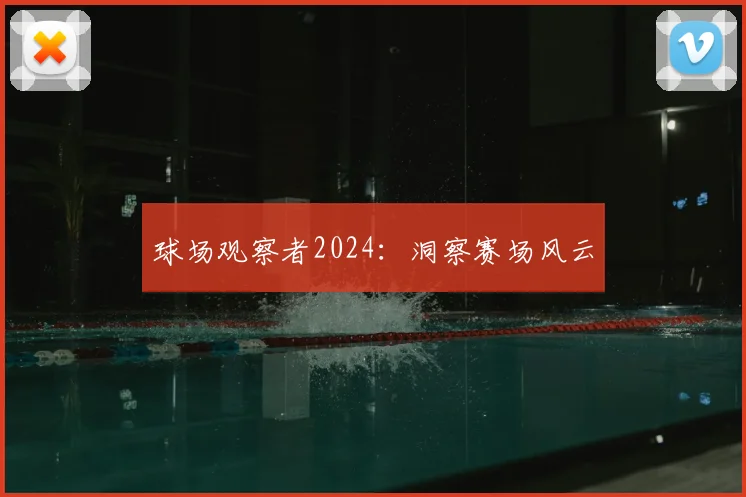 球场观察者2024：洞察赛场风云