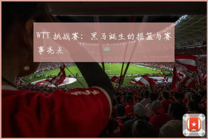 WTT 挑战赛：黑马诞生的摇篮与赛事亮点