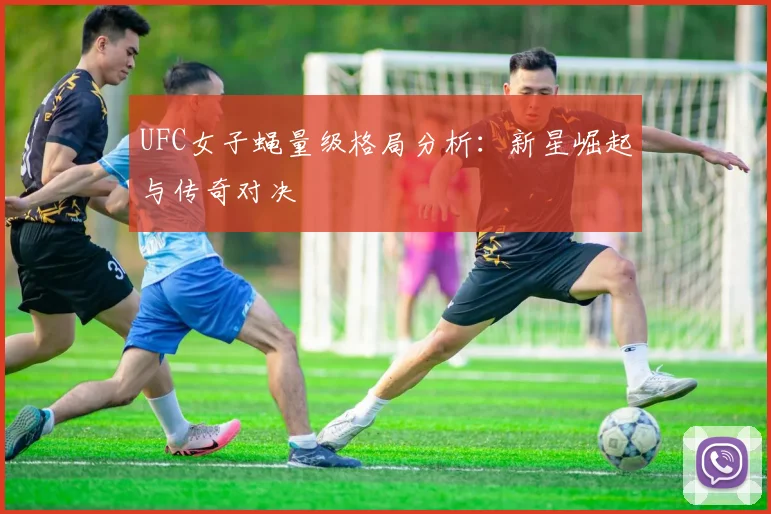 UFC女子蝇量级格局分析：新星崛起与传奇对决